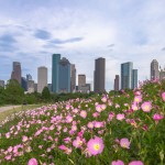 Bezoek een sportwedstrijd in Houston