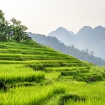 Pu Luong Nature Reserve 